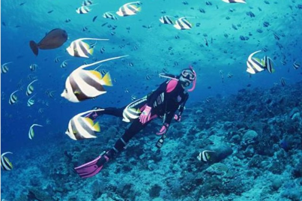 Du lịch tour lặn biển Nha Trang có gì?