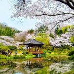 Check “nhẹ” 5 địa điểm du lịch Hàn Quốc hot nhất 2017-2018