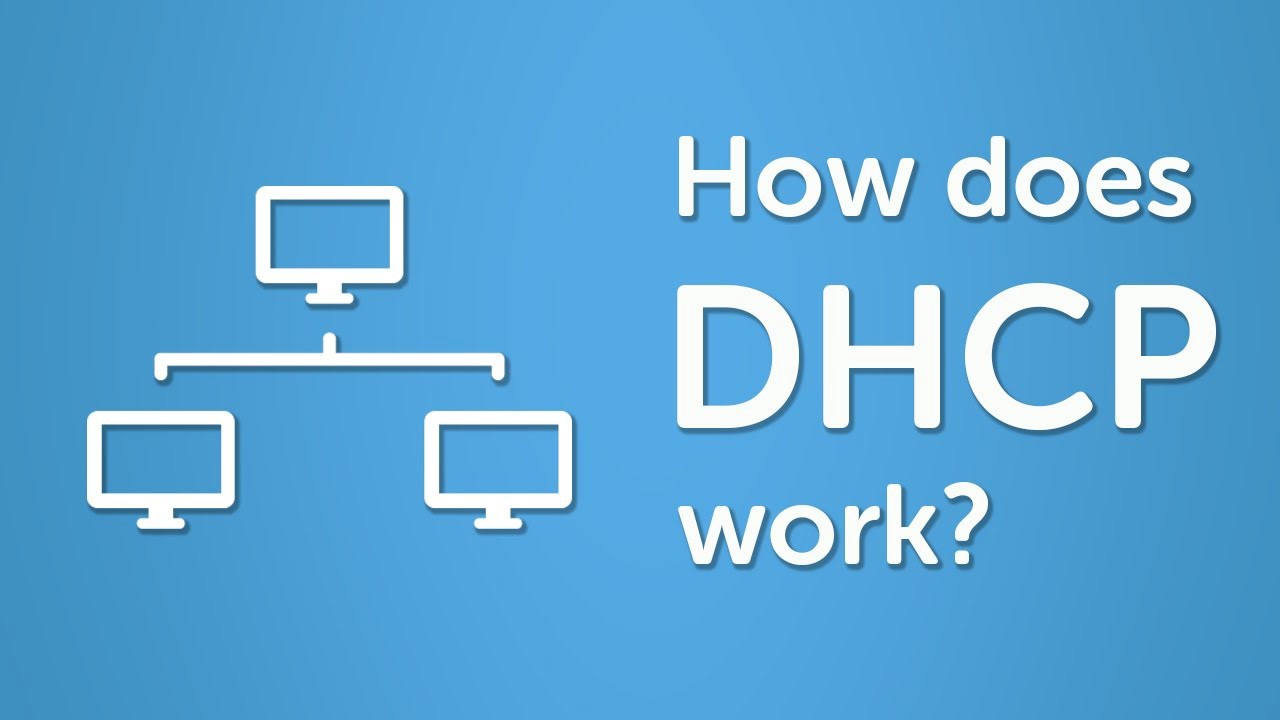 dhcp-hoat-dong-nhu-the-nao
